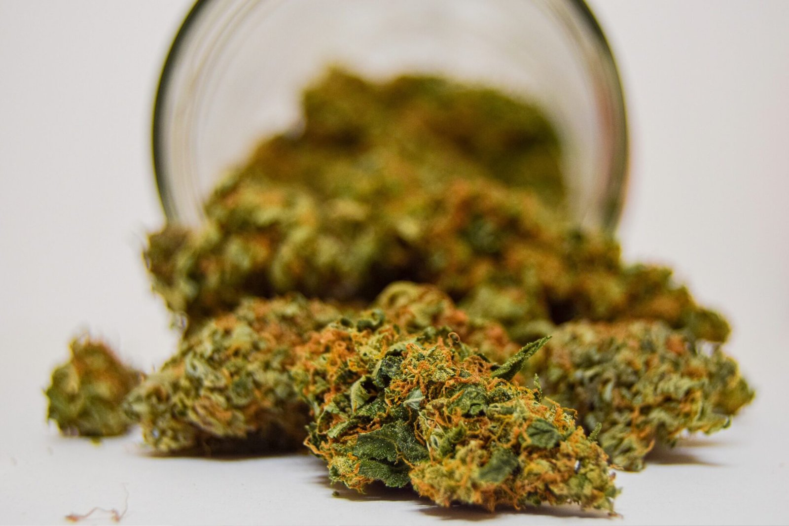 Achat de fleurs de CBD CBD shop à Gif sur Yvette