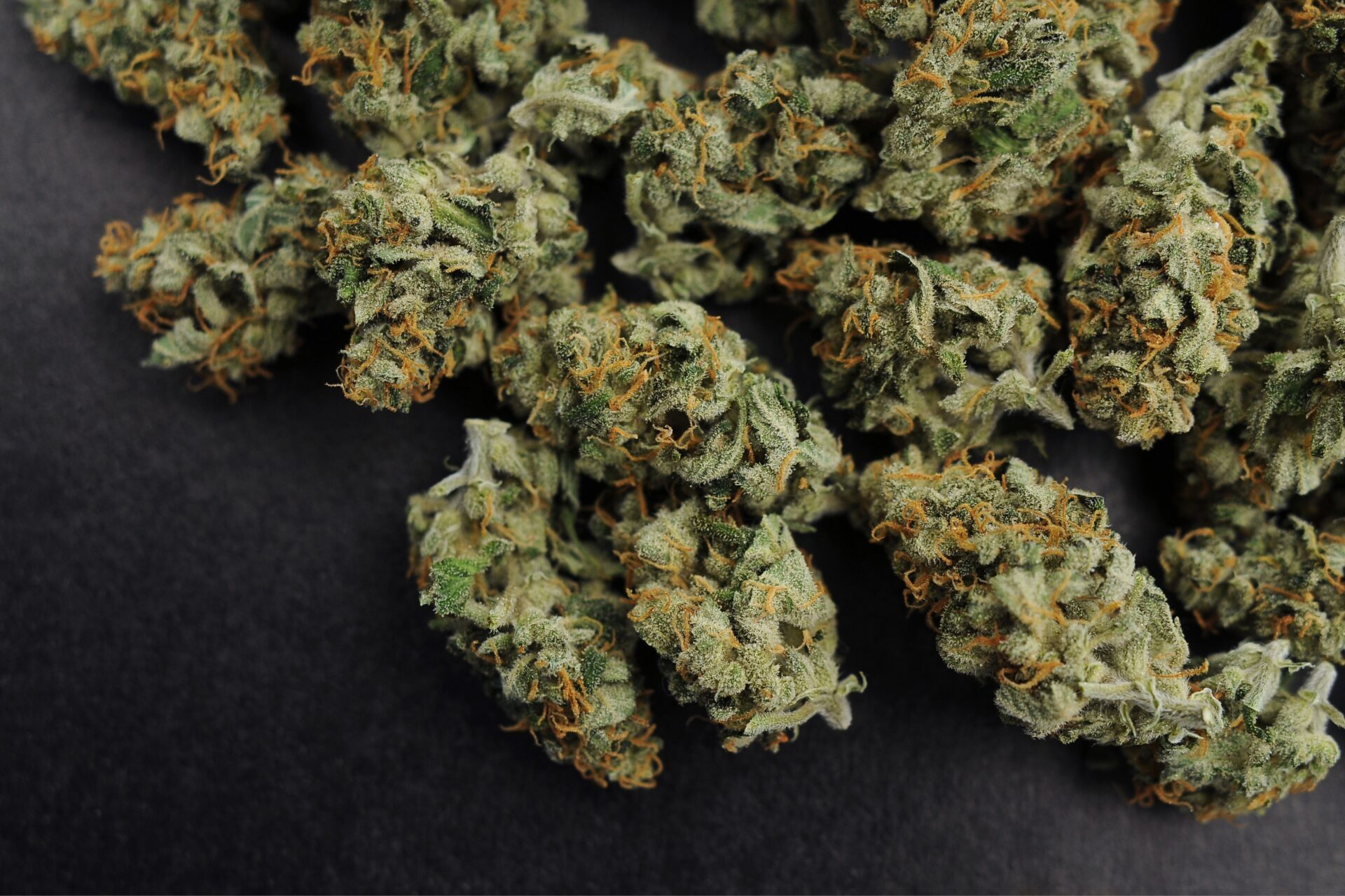 Achat fleurs de CBD