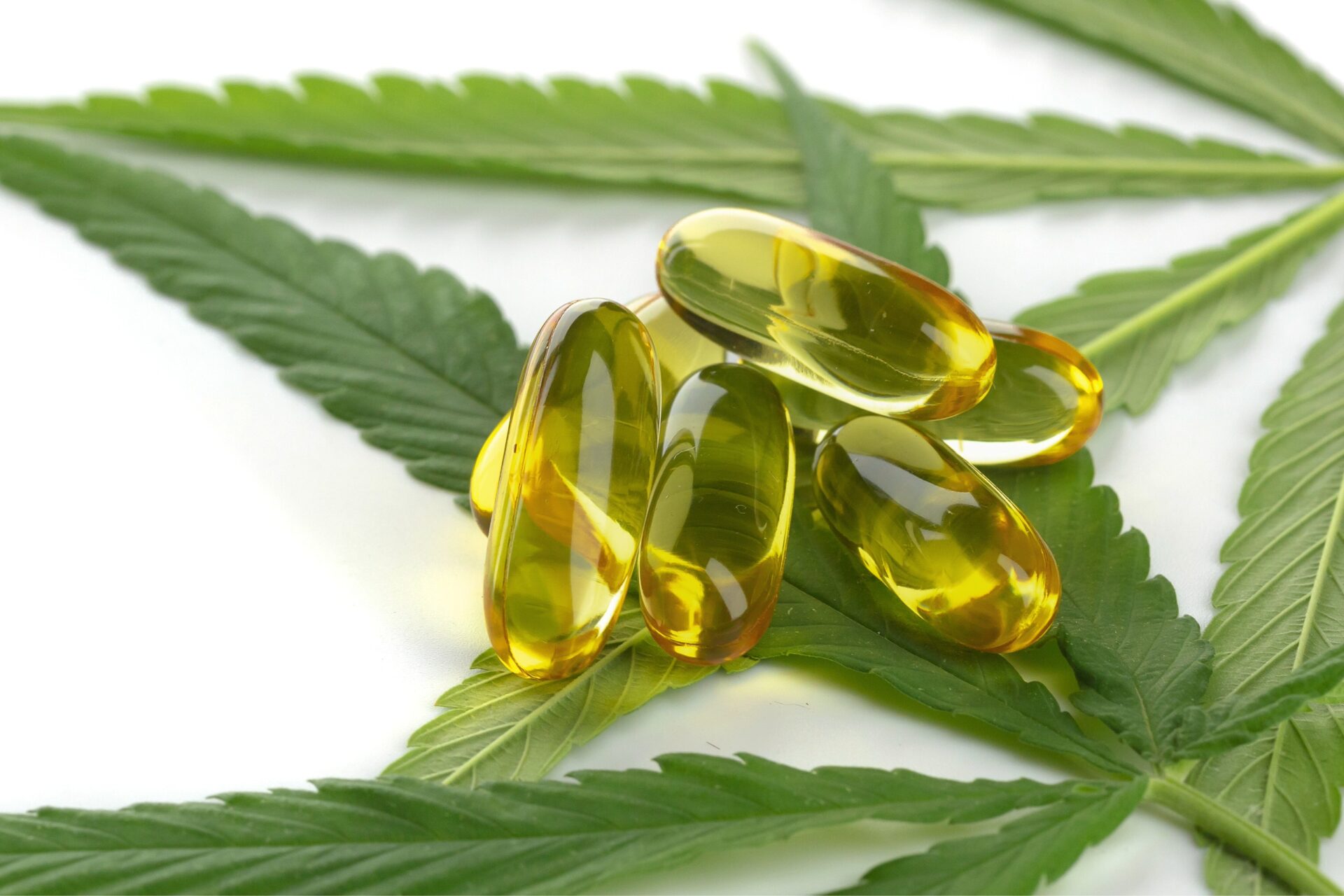 Gélules à base de CBD