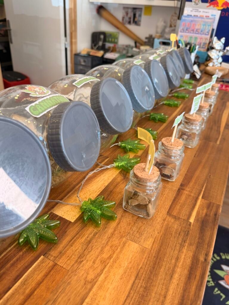 La brocante du fumeur CBD, Vape et chicha shop à Gif-sur-Yvette